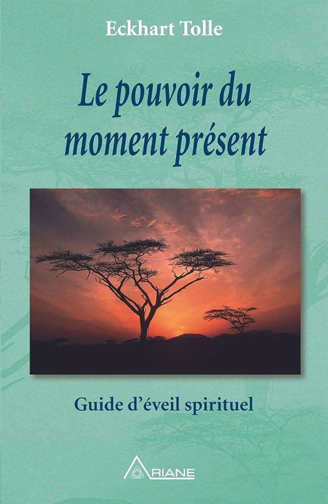 Couverture de Le pouvoir du moment présent Guide d'éveil spirituel