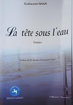 Couverture de Proverbes des Grassfields ou Reflet des Mœurs BINAM