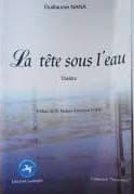 Couverture de Proverbes des Grassfields ou Reflet des Mœurs BINAM